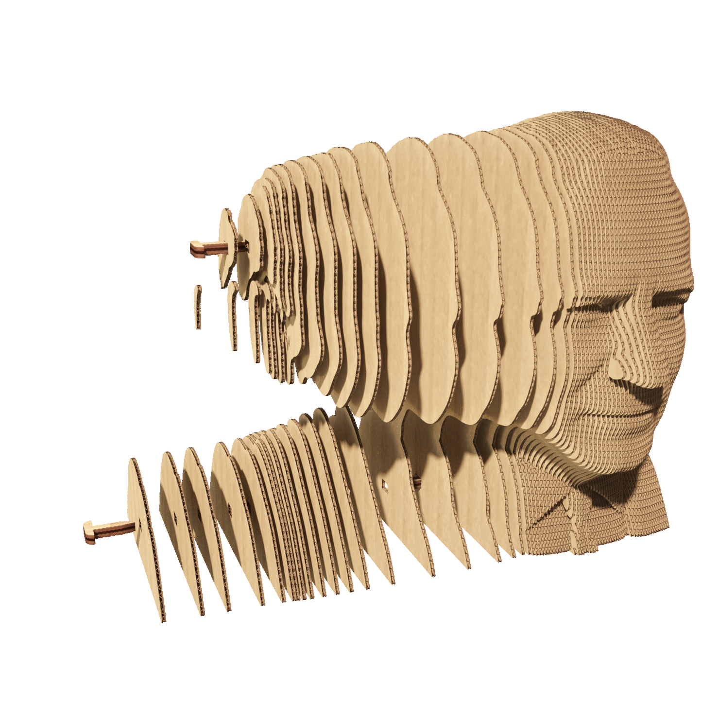 JOE BIDEN Cartonic 3D Puzzle