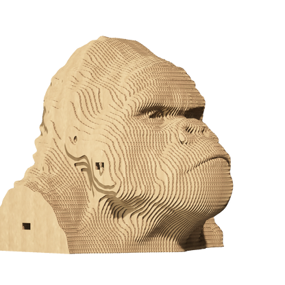 GORILLA Cartonic 3D Puzzle