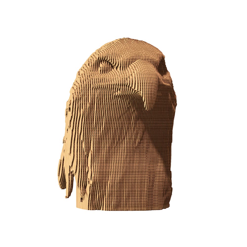 EAGLE Cartonic 3D Puzzle