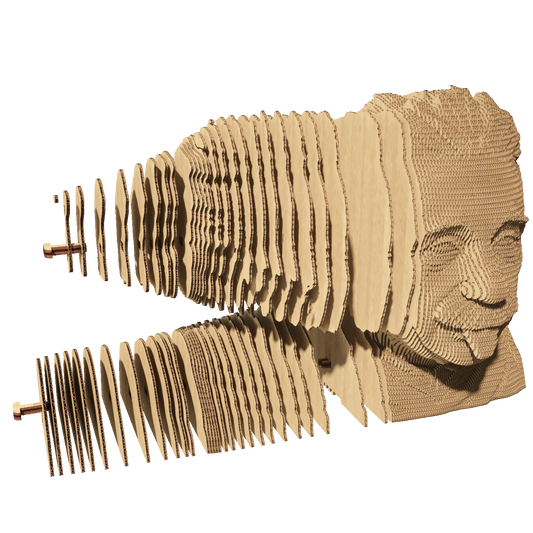 ALBERT EINSTEIN Cartonic 3D Puzzle
