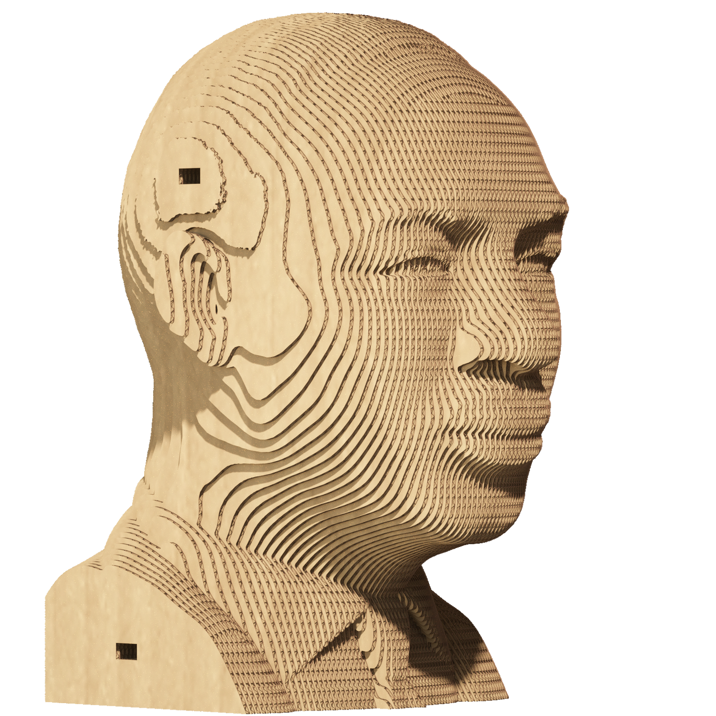 MARTIN LUTHER KING Jr. Cartonic 3D Puzzle