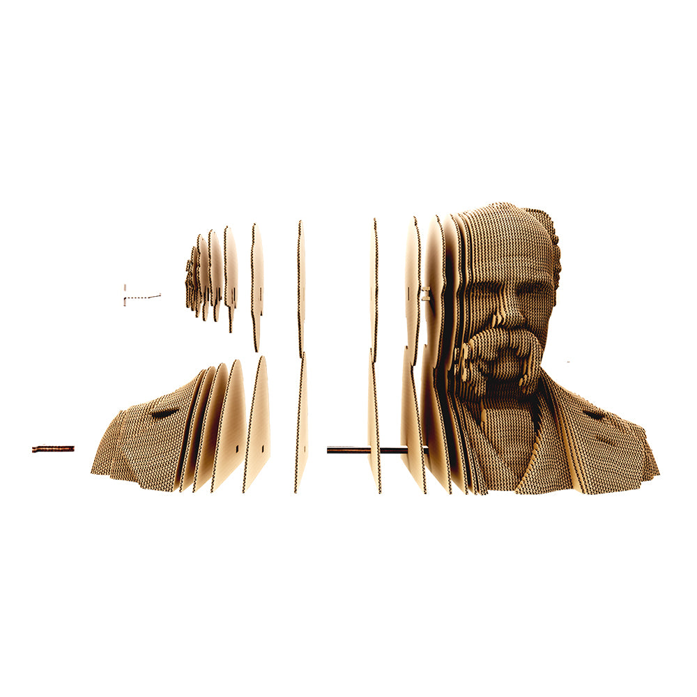 TARAS SHEVCHENKO Cartonic 3D Puzzle